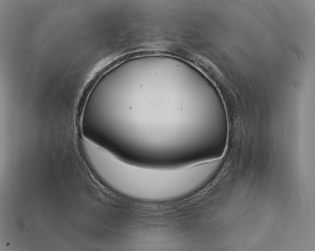X0000115241168200911131658