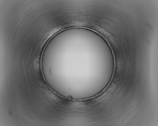 X0000115241170200911131658