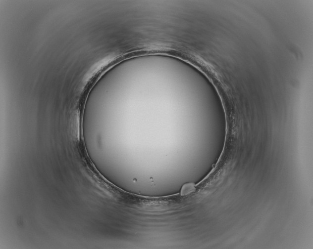 X0000115241171200911131658