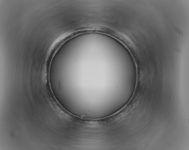 X0000115241172200911131658