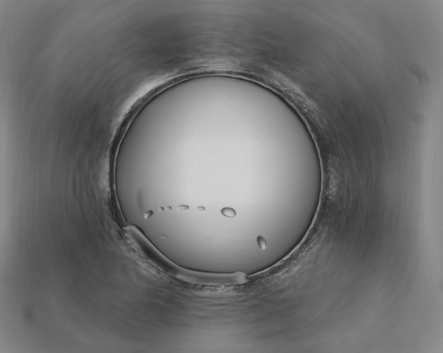 X0000115241174200911131658
