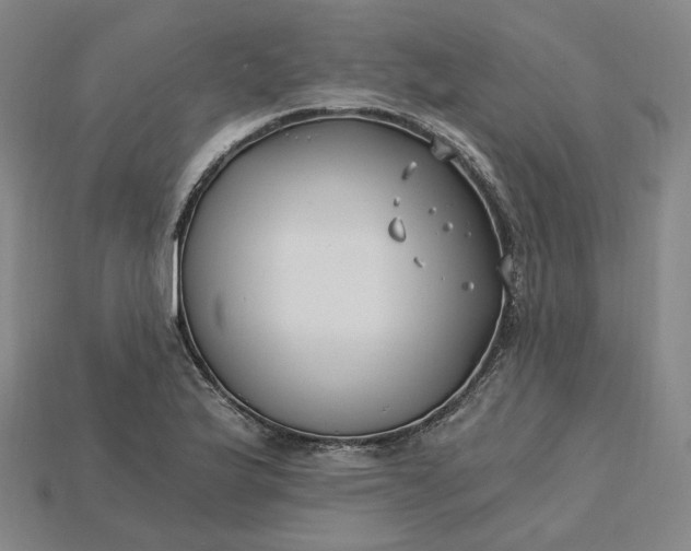 X0000115241175200911131658
