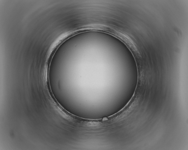 X0000115241180200911131658