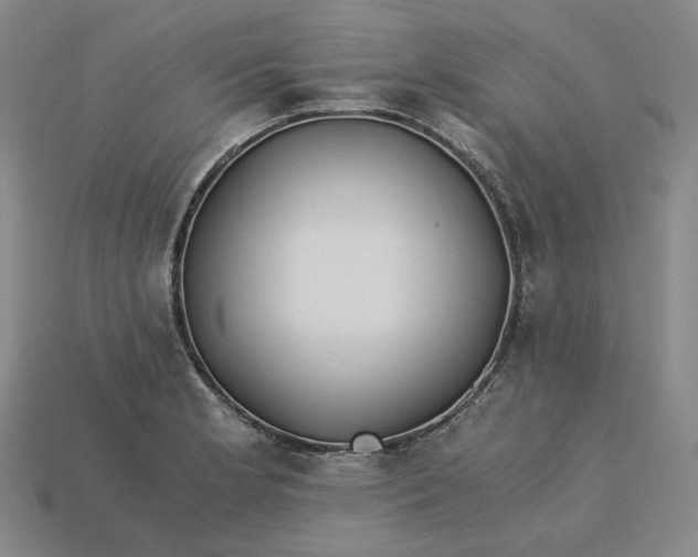 X0000115241181200911131658