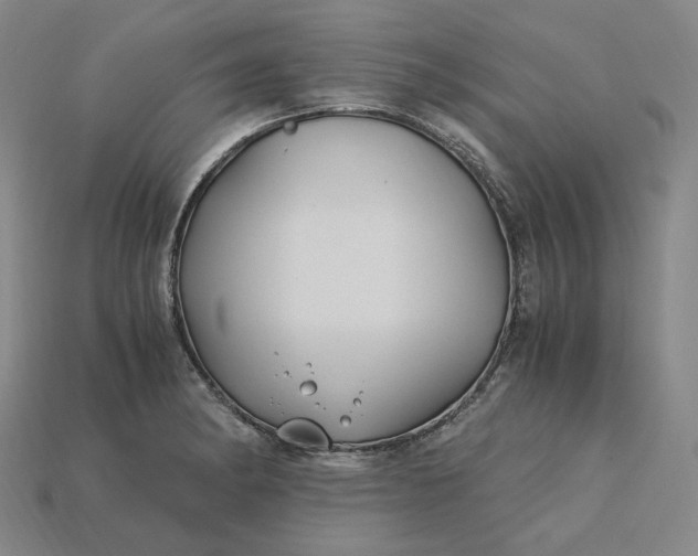 X0000115241182200911131658