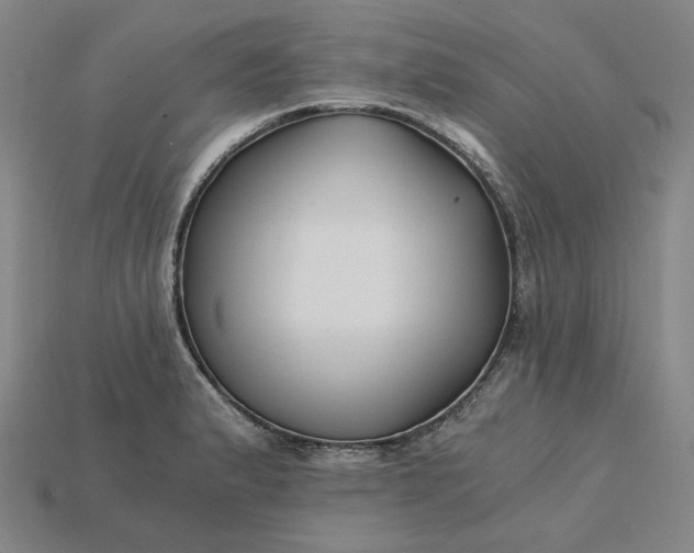 X0000115241183200911131658