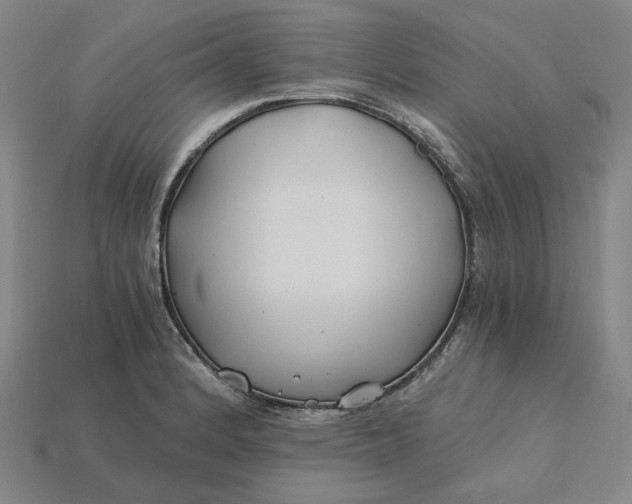 X0000115241184200911131658