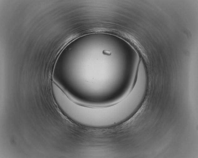 X0000115241185200911131658