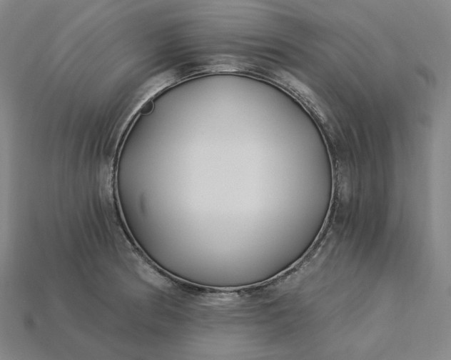 X0000115241186200911131658