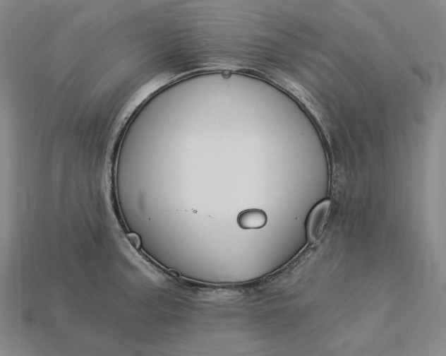 X0000115241187200911131658