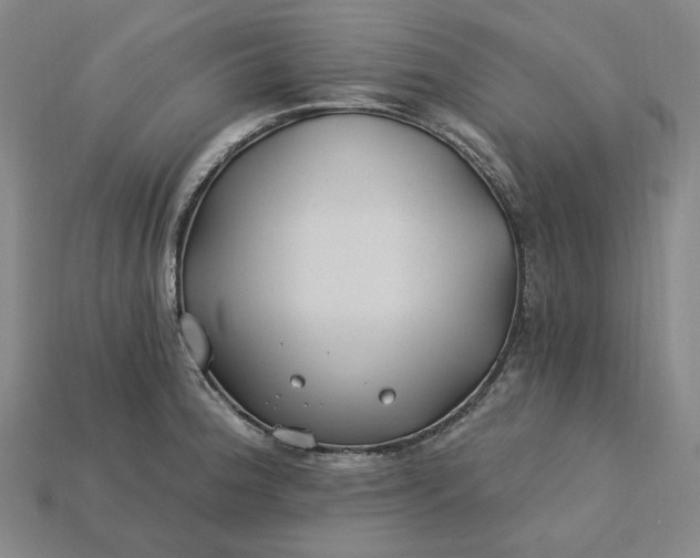 X0000115241188200911131658