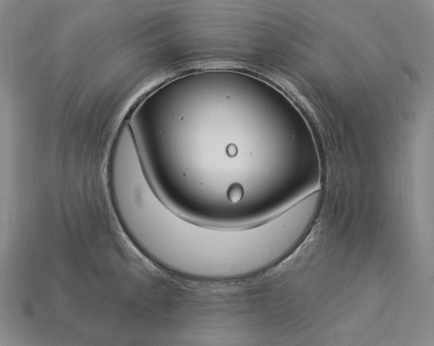 X0000115241189200911131658