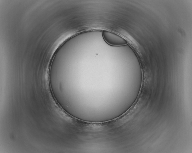 X0000115241190200911131658
