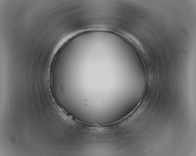 X0000115241192200911131658