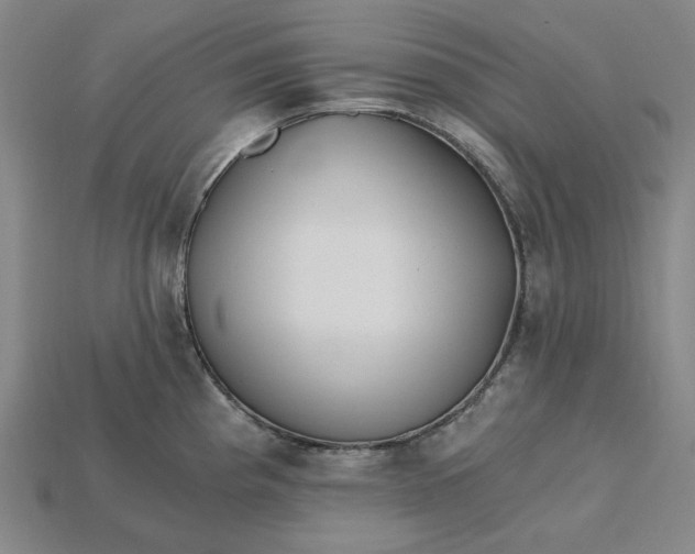X0000115241193200911131658