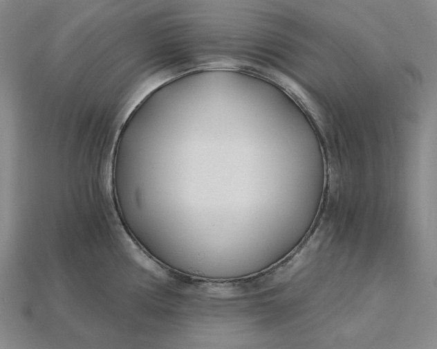 X0000115241194200911131658