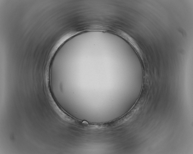 X0000115241195200911131657