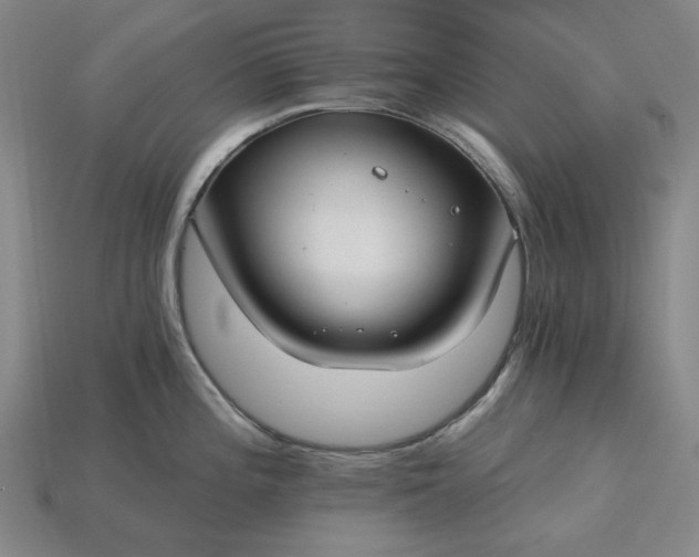 X0000115241196200911131657