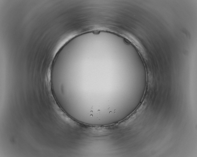 X0000115241198200911131657