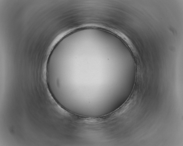 X0000115241199200911131657