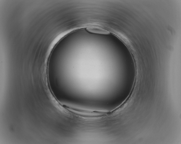 X0000115241200200911131657