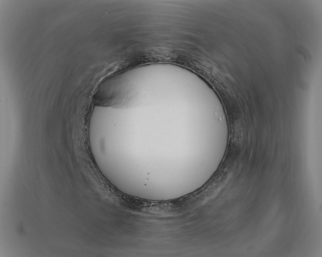 X0000115241201200911131657