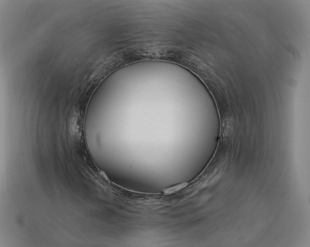 X0000115241202200911131657