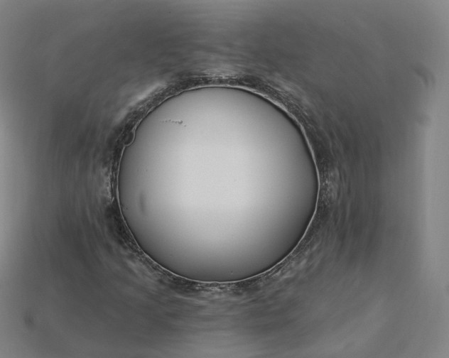 X0000115241205200911131657