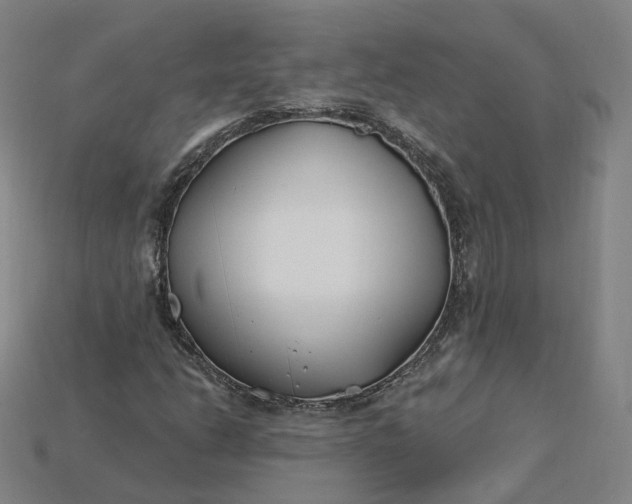X0000115241206200911131657