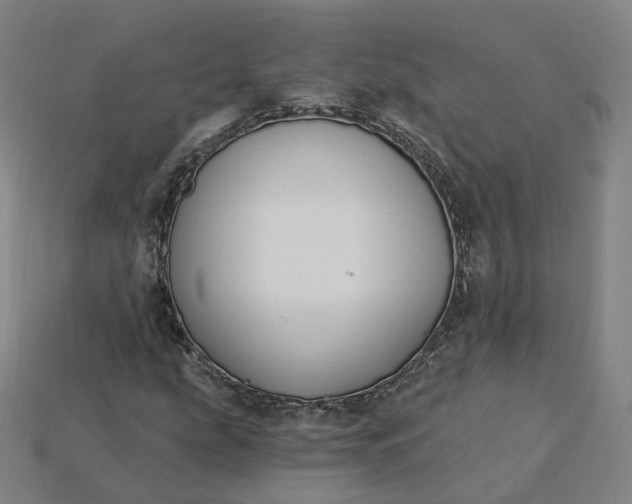 X0000115241207200911131657