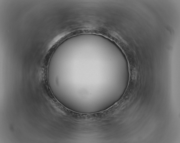 X0000115241208200911131657