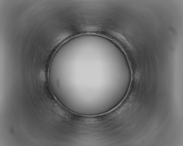 X0000115241209200911131657