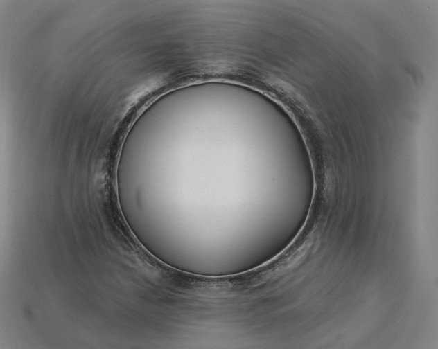 X0000115241210200911131657