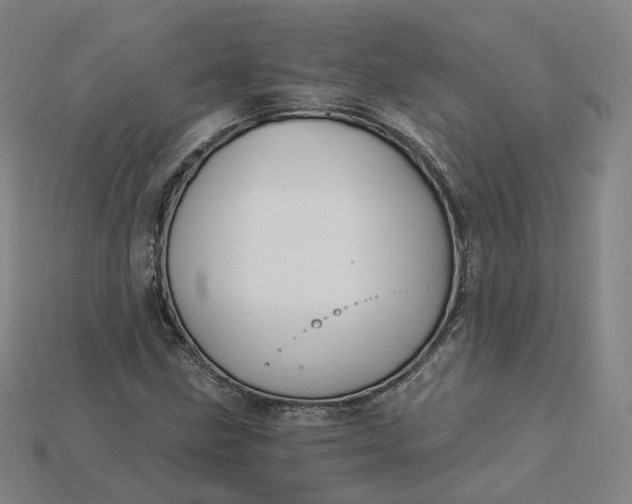 X0000115241211200911131657
