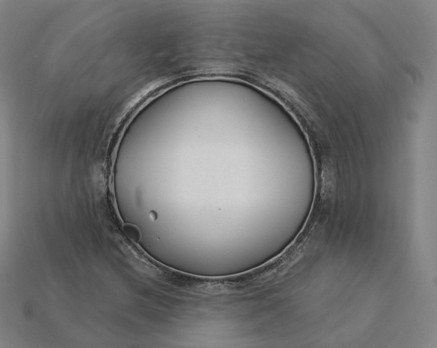 X0000115241212200911131657
