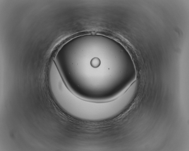 X0000115241215200911131657