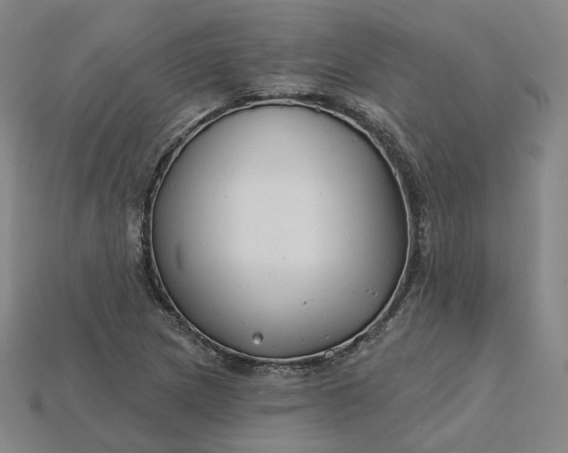 X0000115241217200911131657