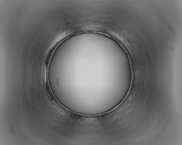 X0000115241219200911131657
