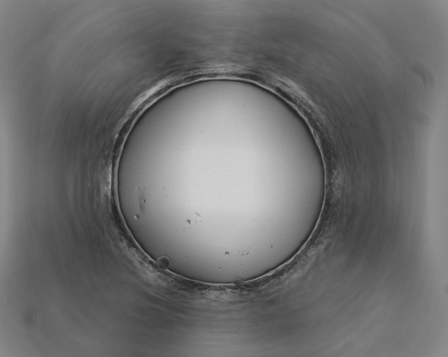 X0000115241220200911131657