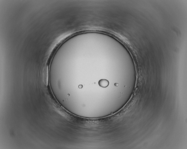 X0000115241223200911131657