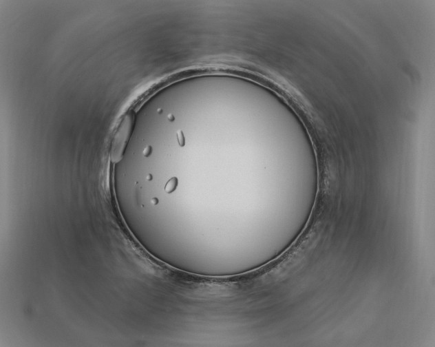 X0000115241224200911131657