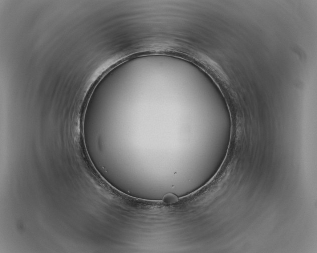 X0000115241226200911131657