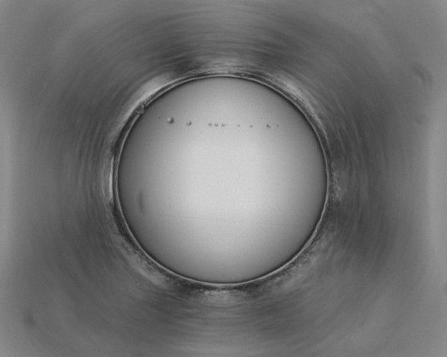 X0000115241227200911131657