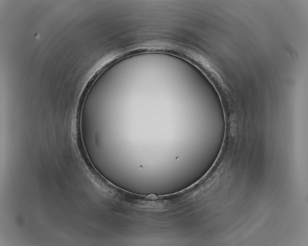 X0000115241229200911131657