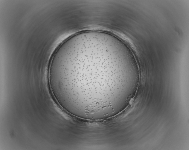 X0000115241231200911131657
