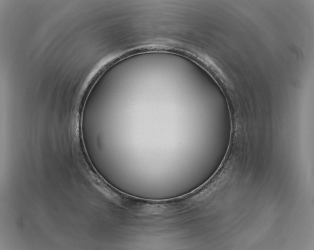 X0000115241232200911131657
