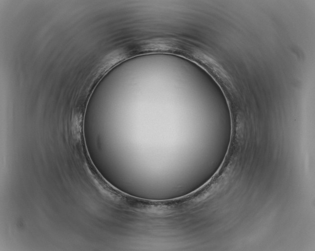 X0000115241233200911131657
