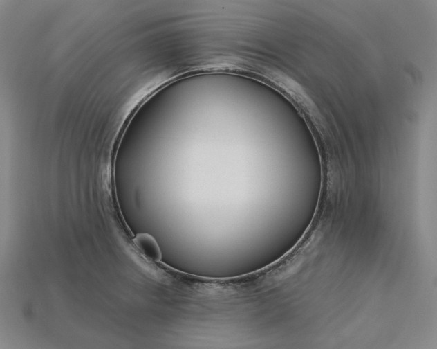 X0000115241234200911131657
