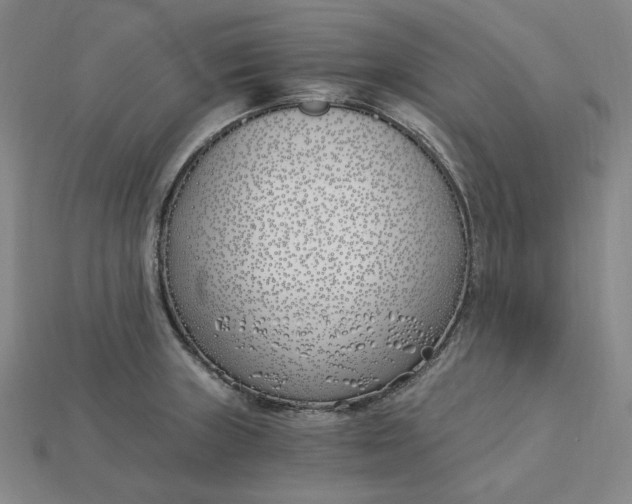 X0000115241235200911131657