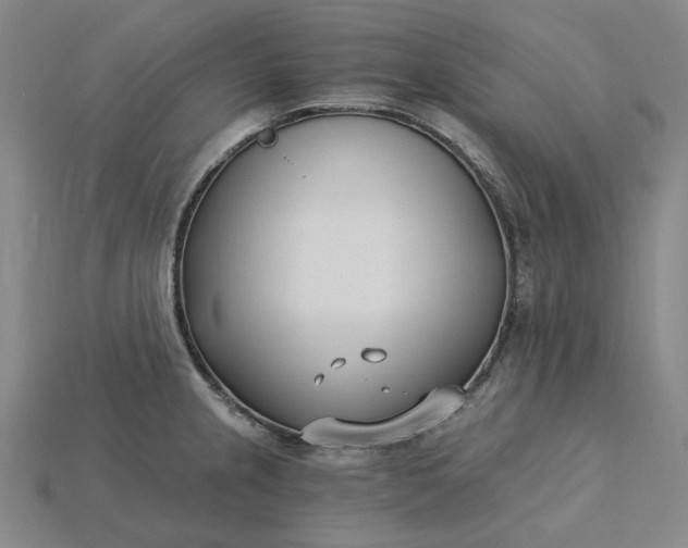 X0000115241237200911131657